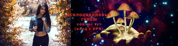 не бодяженный Нягань