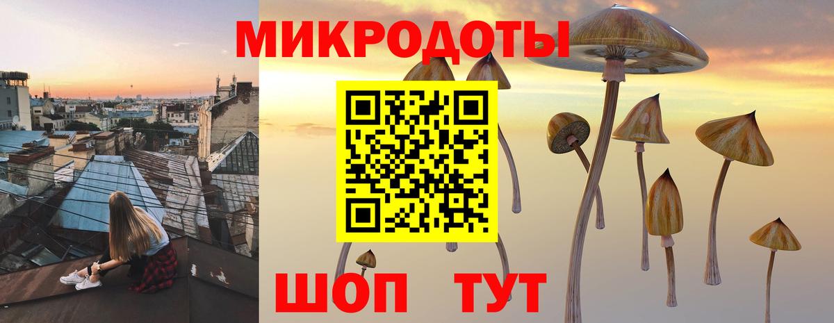 Саратов  Галлюциногенные грибы ЛСД  Вход с VPN  Галлюциногенные грибы GOLDEN TEACHER 